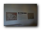 DSC02541.jpg