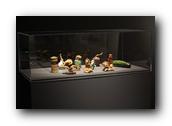 DSC02545.jpg