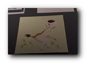 DSC02550.jpg