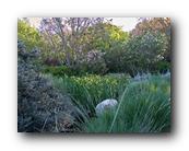 Arboretum003150426.jpg