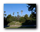 Arboretum004150426.jpg
