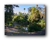 Arboretum006150426.jpg