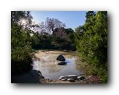 Arboretum008150426.jpg