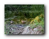 Arboretum009150426.jpg