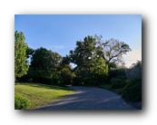 Arboretum012150426.jpg