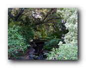 Arboretum017150426.jpg
