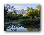 Arboretum018150426.jpg