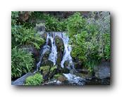 Arboretum020150426.jpg