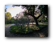 Arboretum024150426.jpg