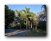 Arboretum027150426.jpg