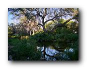 Arboretum028150426.jpg
