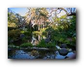Arboretum029150426.jpg