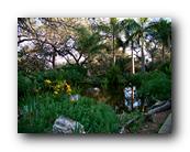 Arboretum030150426.jpg