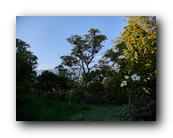 Arboretum031150426.jpg