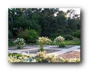 Arboretum038150426.jpg