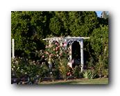 Arboretum041150426.jpg