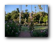 Arboretum042150426.jpg