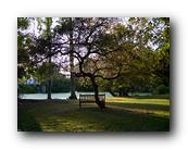 Arboretum049150426.jpg