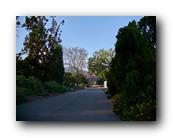 Arboretum051150426.jpg
