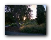 Arboretum053150426.jpg