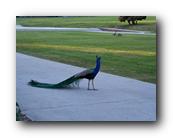 Arboretum055150426.jpg