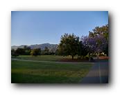 Arboretum061150426.jpg
