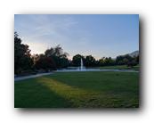 Arboretum062150426.jpg