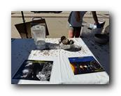 IMG_8064.jpg