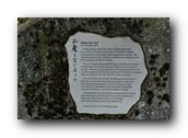 DSC01461.jpg