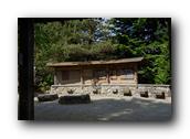 DSC01470.jpg