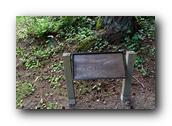 DSC01480.jpg