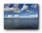 IMG_7939.jpg