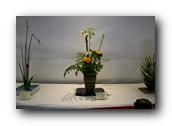 BunkaSai087180426.jpg