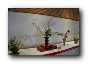 BunkaSai088180426.jpg