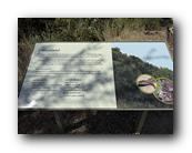 IMG_8171.jpg