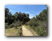 IMG_7915.jpg