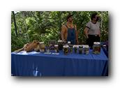 EarthDay019190426.jpg