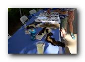 EarthDay022190426.jpg