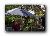 EarthDay043190426.jpg