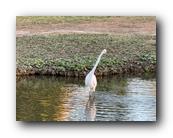 IMG_7745.jpg