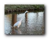 IMG_7751.jpg