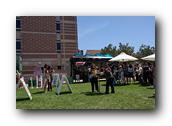 FoB041190426.jpg