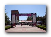 FoB045190426.jpg