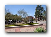 FoB047190426.jpg