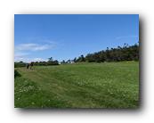 P1000641.jpg