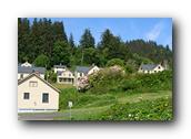 DSC01896.jpg