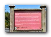 DSC01670.jpg
