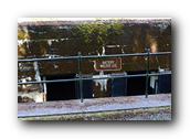 DSC01716.jpg
