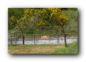 DSC01734.jpg