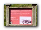 DSC01750.jpg